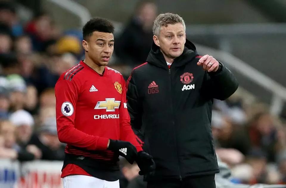 更是一场新 更是一场新