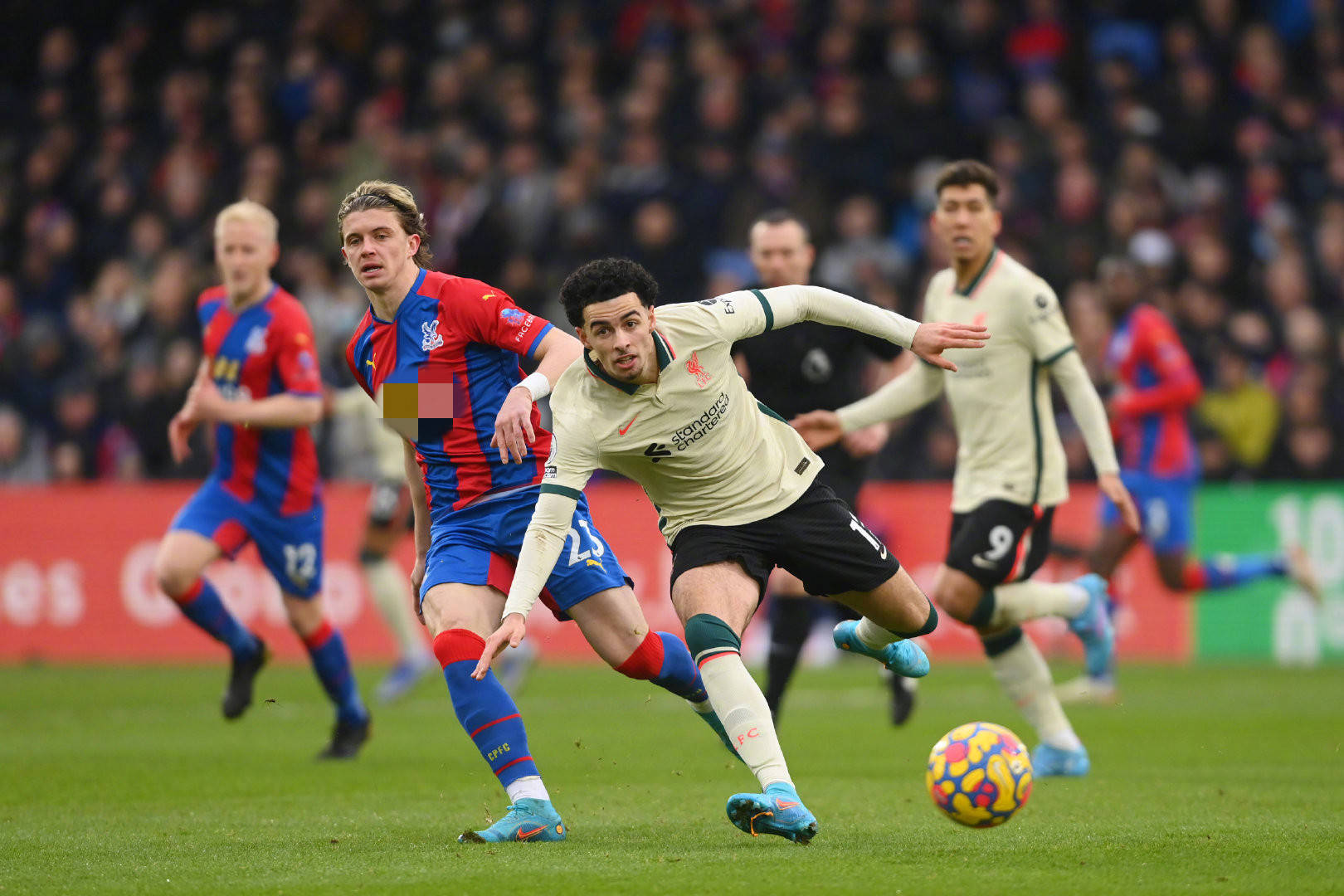 名人们的日 名人们的日